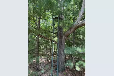 4177 S Michway, Baldwin, MI 49304 - Photo 33