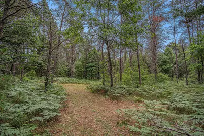 4177 S Michway, Baldwin, MI 49304 - Photo 11