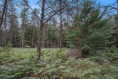 4177 S Michway, Baldwin, MI 49304 - Photo 21