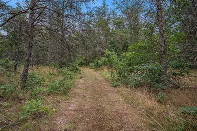 4177 S Michway, Baldwin, MI 49304 - Photo 27