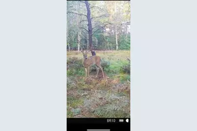 4177 S Michway, Baldwin, MI 49304 - Photo 3