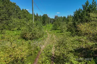 4608 N Spruce Avenue, White Cloud, MI 49349 - Photo 3