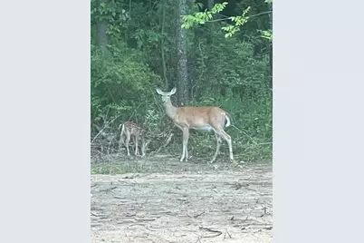 60171 M 43, Bangor, MI 49013 - Photo 73