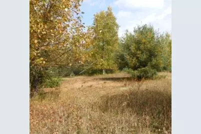 00 Pueblo Trail, Evart, MI 49631 - Photo 1
