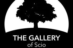 #53 Loon Ln, Ann Arbor, MI 48103 - Photo 85