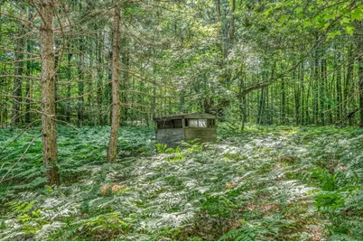 V/L 120th Ave, Hersey, MI 49639 - Photo 13