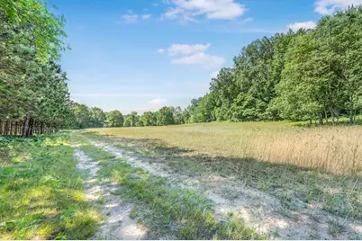 V/L 120th Ave, Hersey, MI 49639 - Photo 15