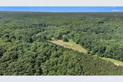 V/L 120th Ave, Hersey, MI 49639 - Photo 17