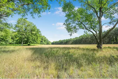 V/L 120th Ave, Hersey, MI 49639 - Photo 9