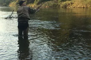 1306 N Tippy Dam Rd, Wellston, MI 49689 - Photo 89