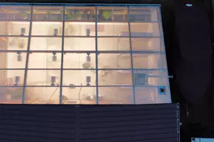 8683 E Hawley Rd, Hesperia, MI 49421 - Photo 47