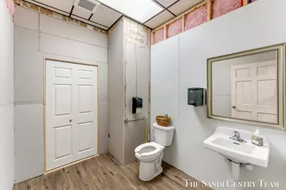 109 Washington Street, Hart, MI 49420 - Photo 13