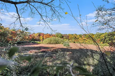 9308 W Guernsey Lake Road Road, Delton, MI 49046 - Photo 67