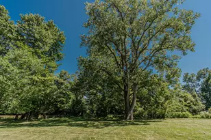 675 Mooreville Rd, Milan, MI 48160 - Photo 89