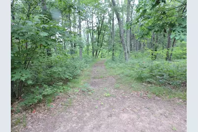 9773 N Woodbridge Avenue, Bitely, MI 49309 - Photo 41