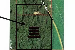 9773 N Woodbridge Ave, Bitely, MI 49309 - Photo 47