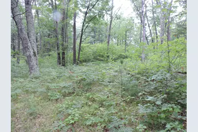 9773 N Woodbridge Avenue, Bitely, MI 49309 - Photo 43