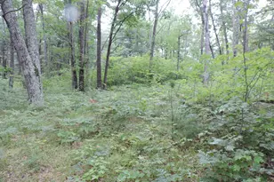 9773 N Woodbridge Ave, Bitely, MI 49309 - Photo 43