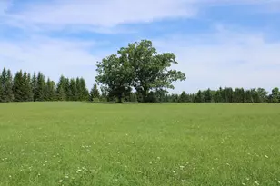 2812 Shoreline Dr, Lupton, MI 48635 - Photo 49