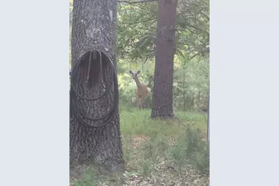 9447 S Wildwood Boulevard, Baldwin, MI 49304 - Photo 13