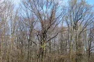 19701 Kluver Rd, New Buffalo, MI 49117 - Photo 21