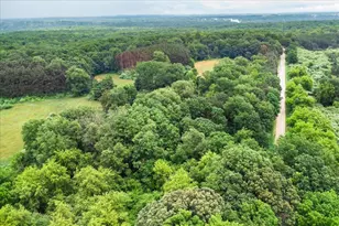 101 N Wyman Rd, Remus, MI 49340 - Photo 43