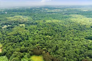 101 N Wyman Rd, Remus, MI 49340 - Photo 47