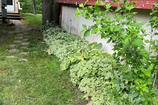 7788 W Vernon Rd, Lake, MI 48632 - Photo 61