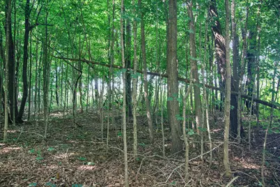 V/L Twin Shores Drive, Dowagiac, MI 49047 - Photo 9