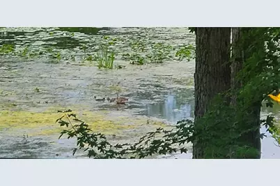 8300 Arapaho Trail SE, Alto, MI 49302 - Photo 79