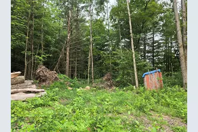 5369 E 68th Street, Chase, MI 49623 - Photo 5