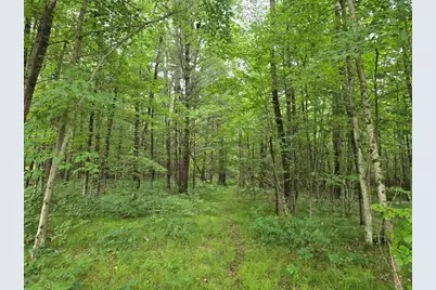 5369 E 68th Street, Chase, MI 49623 - Photo 1