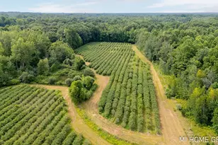 74721 30th Ave, Covert, MI 49043 - Photo 27