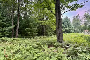 6362 Cedar Trce, Canadian Lakes, MI 49346 - Photo 1