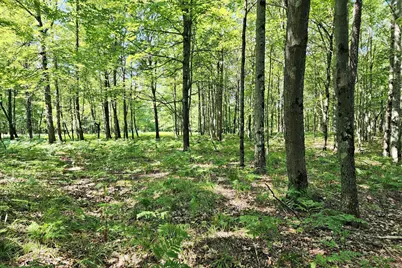 6127 Fawn Lake Drive, Canadian Lakes, MI 49346 - Photo 3