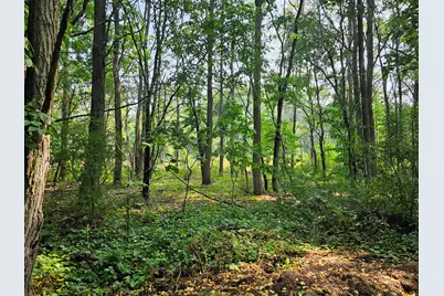 000 Short Street, Stevensville, MI 49127 - Photo 5