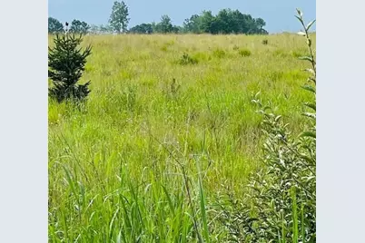 264 S 152nd Avenue #- 20 Acres Vacant Land - North, Shelby, MI 49455 - Photo 11