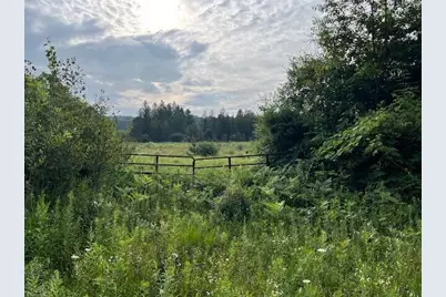 264 S 152nd Avenue #- 20 Acres Vacant Land - North, Shelby, MI 49455 - Photo 3
