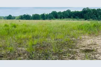 264 S 152nd Avenue #- 20 Acres Vacant Land - North, Shelby, MI 49455 - Photo 7