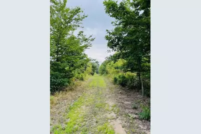 264 S 152nd Avenue #- 20 Acres Vacant Land - North, Shelby, MI 49455 - Photo 5