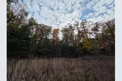 Vl Trail Of The Lakes, Baldwin, MI 49304 - Photo 27