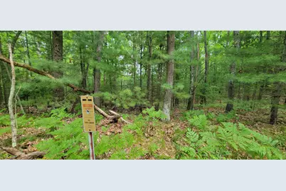 Vl Trail Of The Lakes, Baldwin, MI 49304 - Photo 15