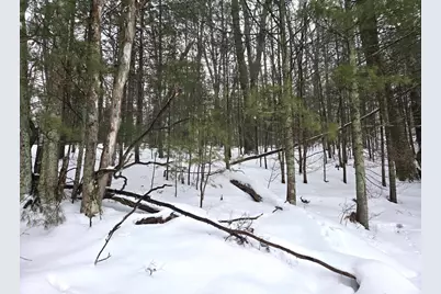 Vl Trail Of The Lakes, Baldwin, MI 49304 - Photo 5