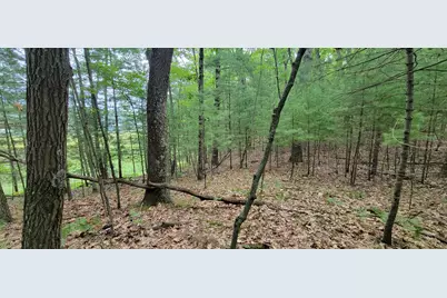 Vl Trail Of The Lakes, Baldwin, MI 49304 - Photo 17