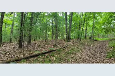 Vl Trail Of The Lakes, Baldwin, MI 49304 - Photo 21