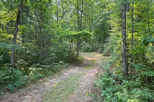 16253 Caberfae Hwy, Wellston, MI 49689 - Photo 23