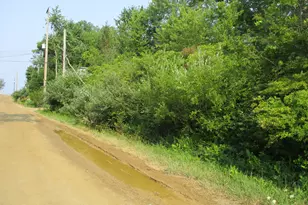 V/L Miami Ave, South Haven, MI 49090 - Photo 1