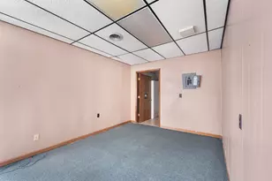 203 S 3rd Ave, Big Rapids, MI 49307 - Photo 13