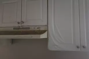 21706 Rausch Ave, Eastpointe, MI 48021 - Photo 11