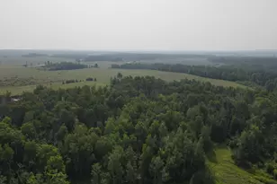 2536 E Gogomain Rd, Pickford, MI 49774 - Photo 29